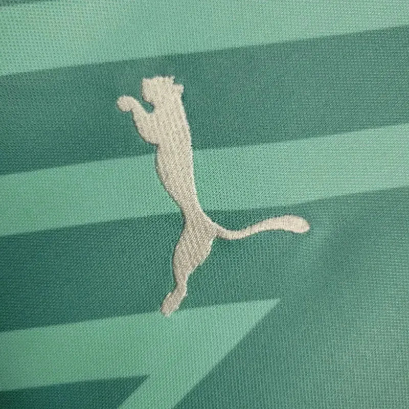 "Camisa Palmeiras Goleiro 24/25 - Torcedor Masculina Verde - Netmantos"
