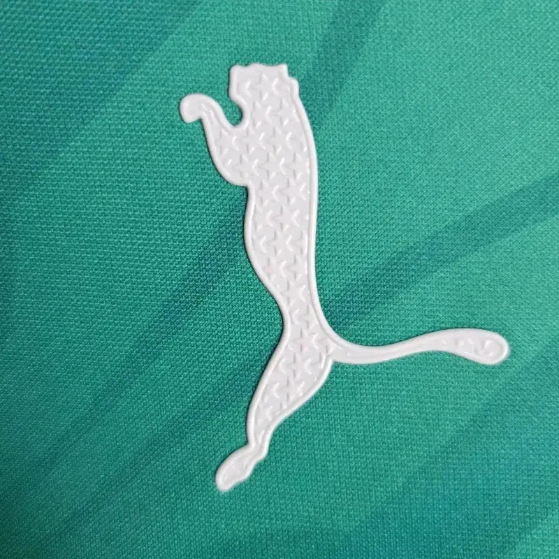 "Camisa Palmeiras Treino 24/25 - Torcedor Masculina Verde - Netmantos"