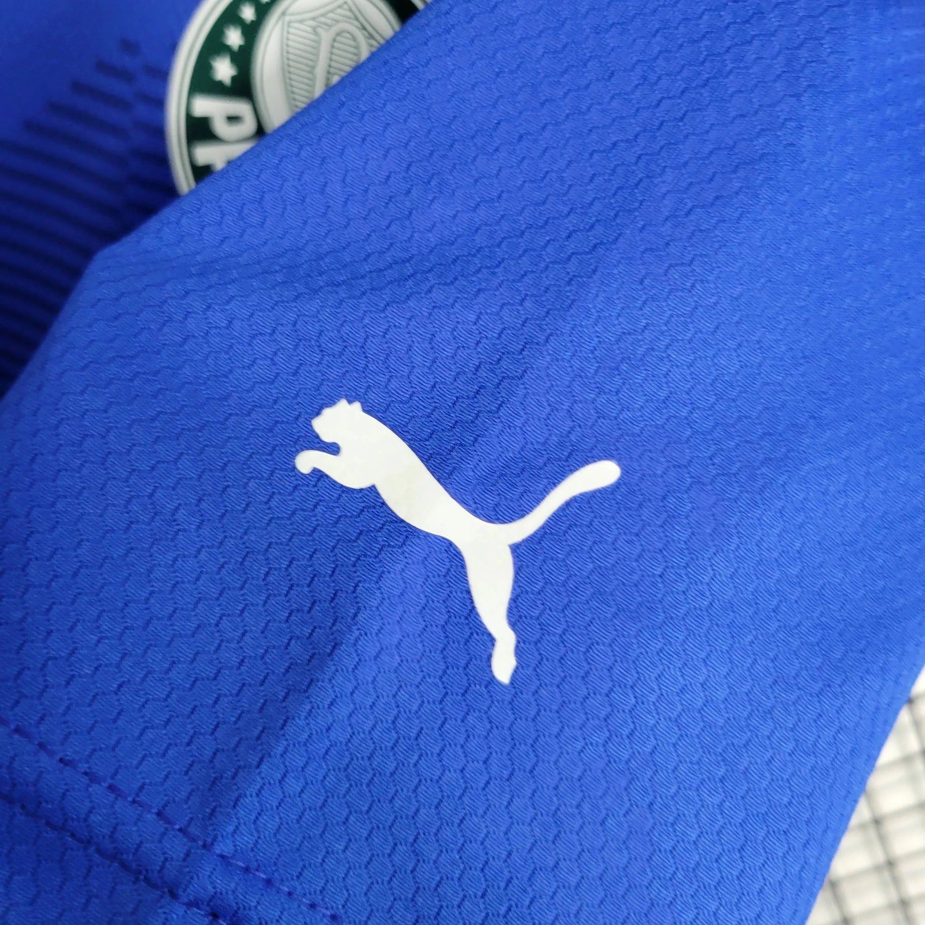 "Camisa Palmeiras Goleiro 23/24 - Torcedor Masculina Azul - Netmantos"