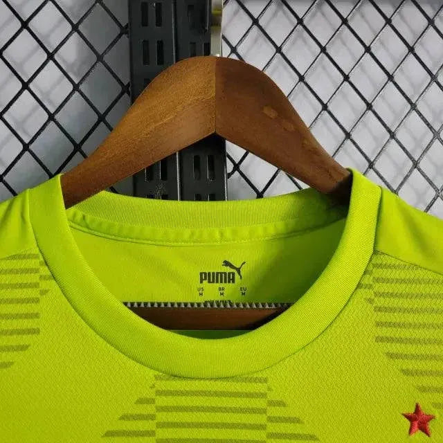 "Camisa Palmeiras Goleiro 22/23 - Torcedor Masculina Verde - Netmantos"