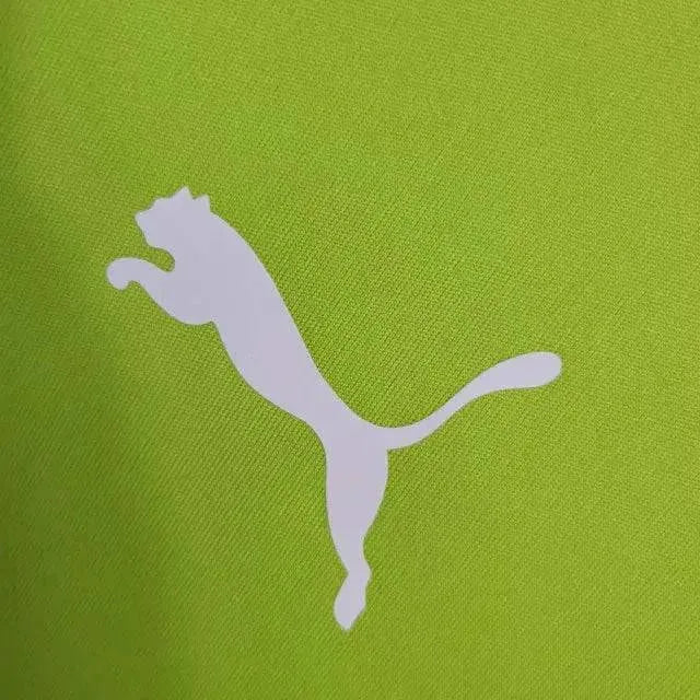 "Camisa Palmeiras Treino 23/24 - Torcedor Masculina Verde - Netmantos"