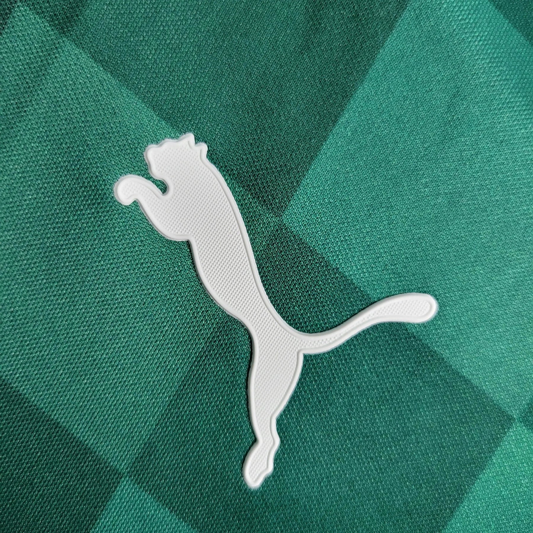 "Camisa Palmeiras Home 21/22 - Torcedor Masculina - Netmantos"