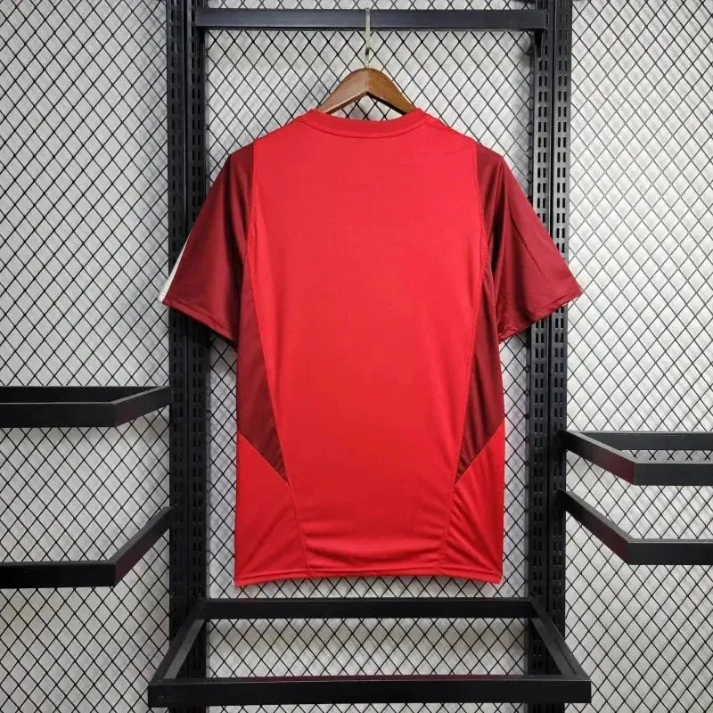 Camisa Sport Club Internacional Treino 24/25 - Torcedor Masculina Vermelha - Netmantos