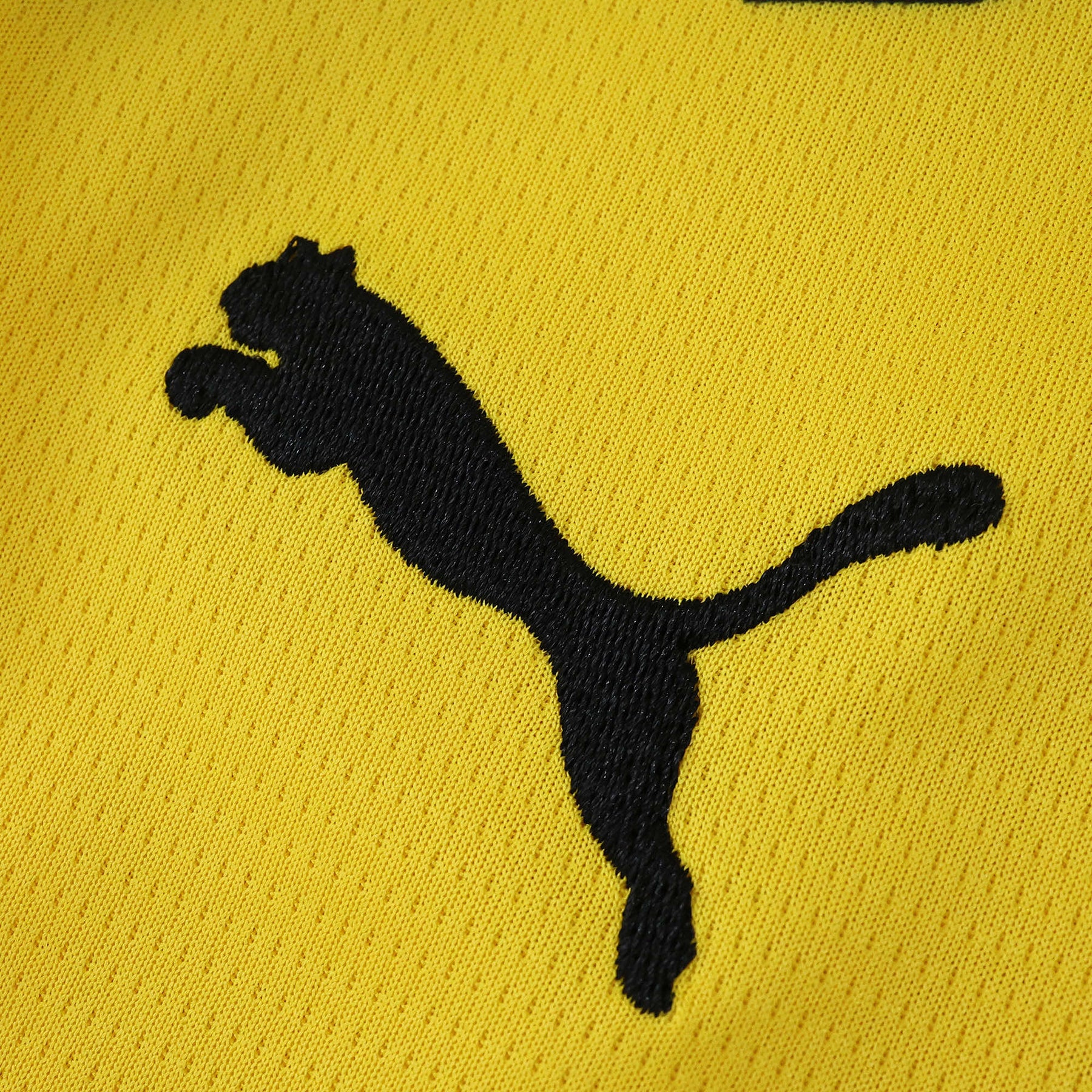 Borussia Dortmund Home Shirt 25/26 - Men's Fan Shirt Yellow