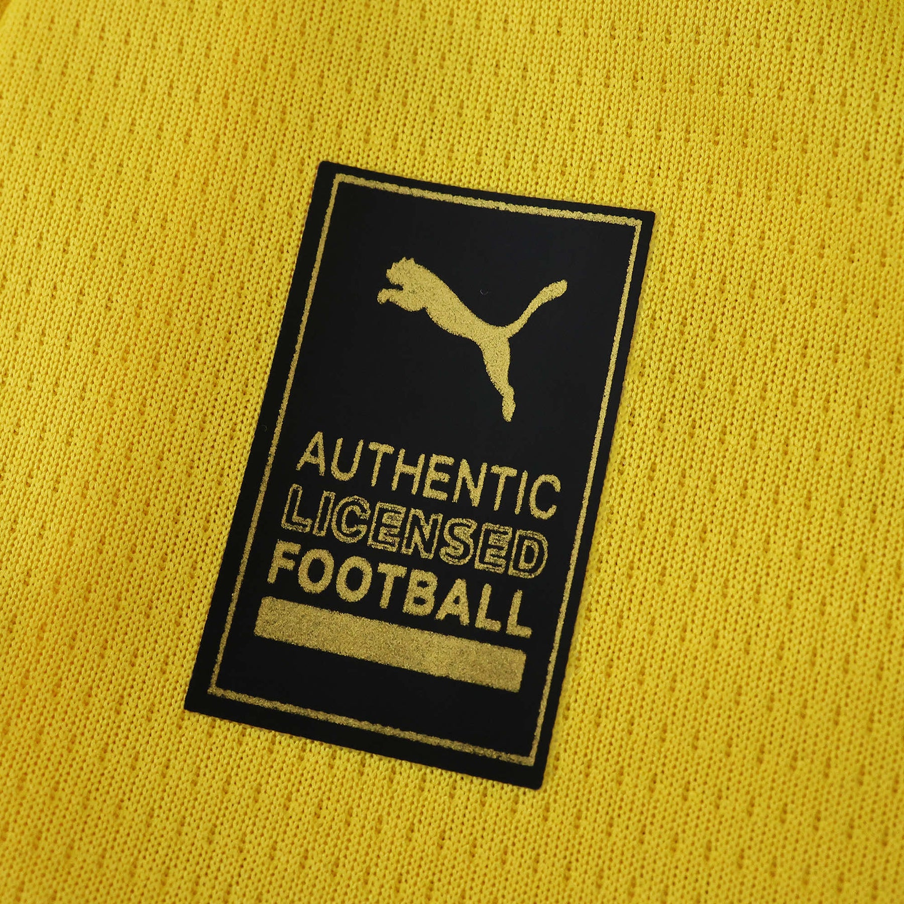 Borussia Dortmund Home Shirt 25/26 - Men's Fan Shirt Yellow