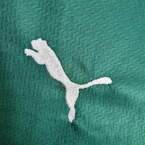 "Camisa Palmeiras Home 22/23 - Torcedor Infantil Verde - Netmantos"