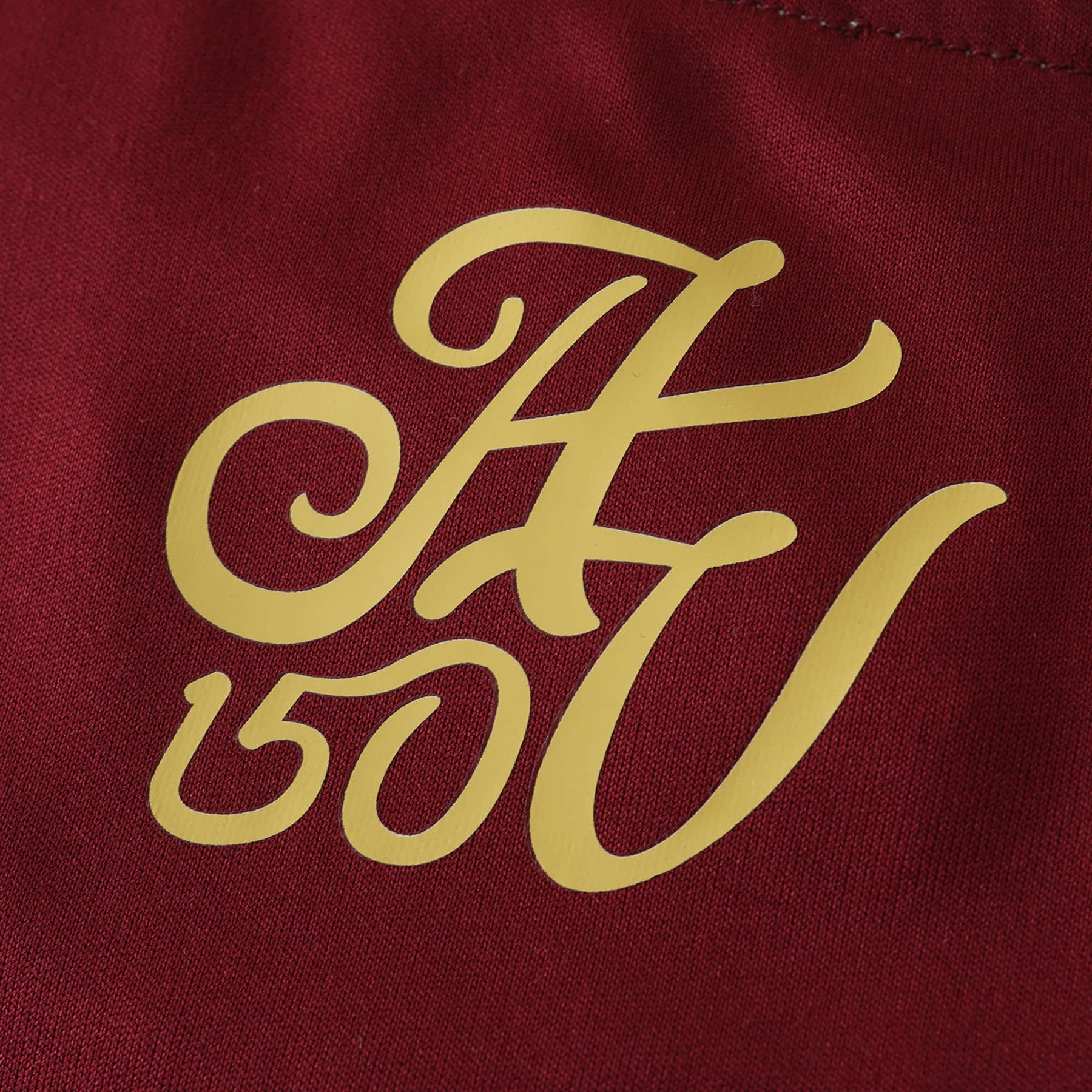 Aston Home Shirt 24/25 - Men's Fan Shirt