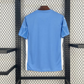 Palmeiras Goalkeeper Shirt 25/26 - Men's Fan Blue