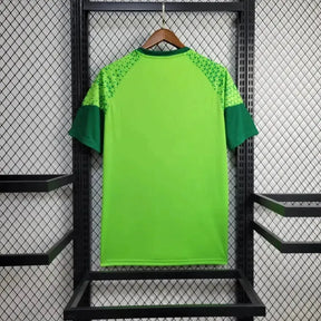 Camisa Palmeiras Treino 24/25 - Torcedor Masculina Verde - Netmantos